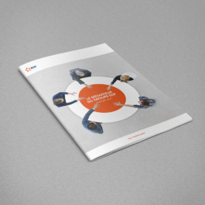 Rapport d'activité EDF