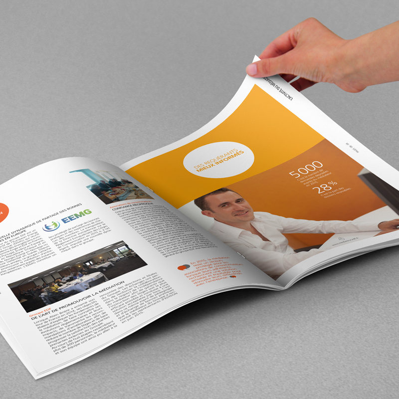 Brochure Rapport d'activité EDF