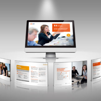 Mistigris communication