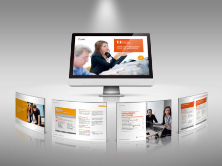 Mistigris communication