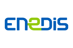 logo_Enedis identité ENEDIS communication